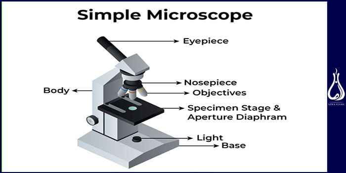 میکروسکوپ نوری ساده